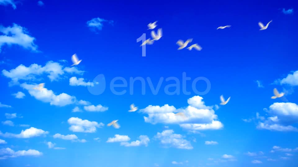 Flying Doves 2 Videohive 148157 Motion Graphics Image 1