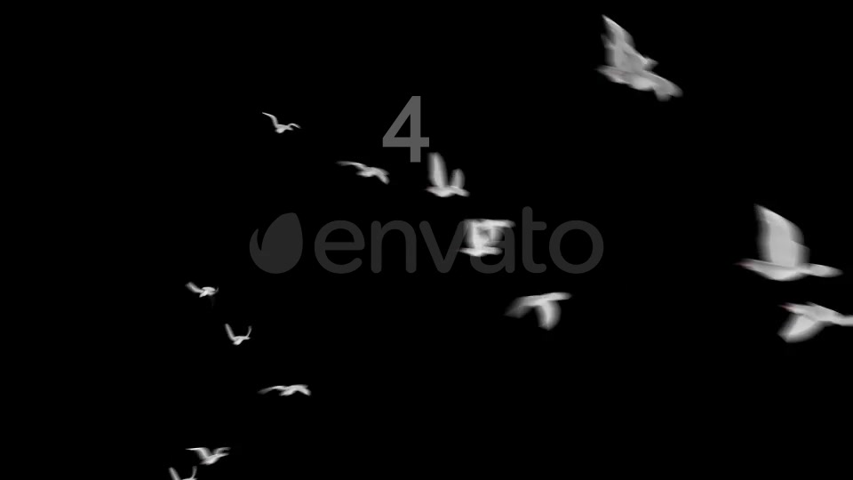 Flying Doves 2 Videohive 148157 Motion Graphics Image 10