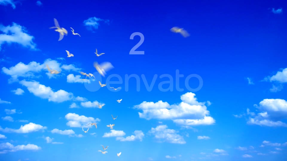 Flying Doves 2 Videohive 148157 Motion Graphics Image 2
