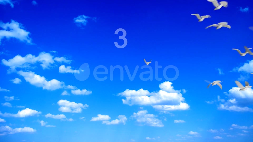 Flying Doves 2 Videohive 148157 Motion Graphics Image 3