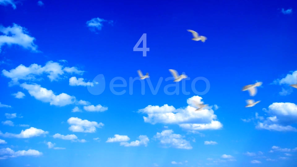 Flying Doves 2 Videohive 148157 Motion Graphics Image 4
