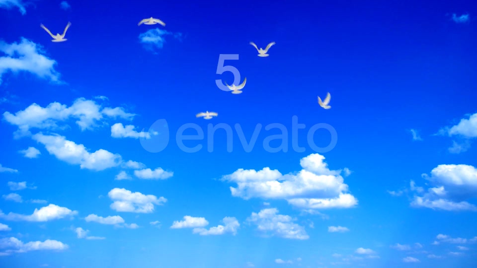 Flying Doves 2 Videohive 148157 Motion Graphics Image 6