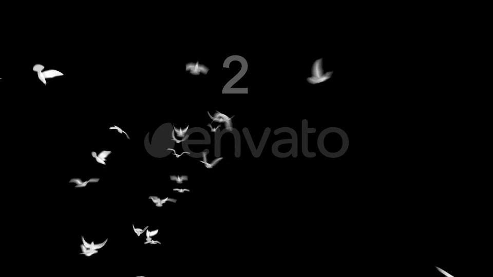 Flying Doves 2 Videohive 148157 Motion Graphics Image 8