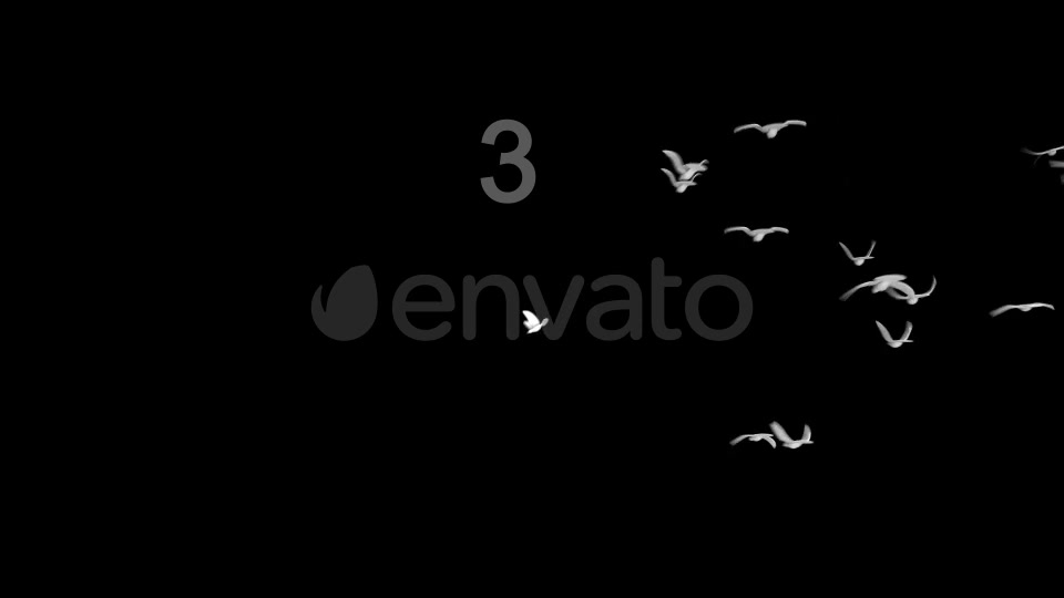 Flying Doves 2 Videohive 148157 Motion Graphics Image 9