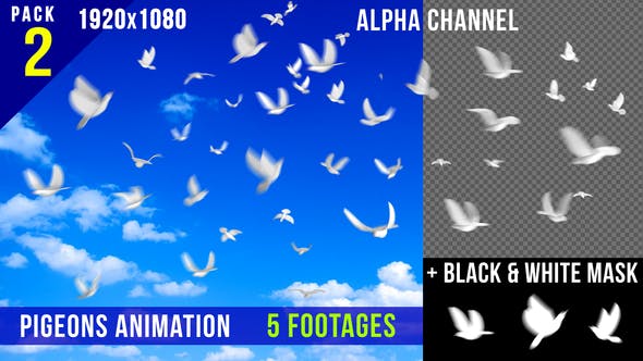 Flying Doves 2 - Download 148157 Videohive