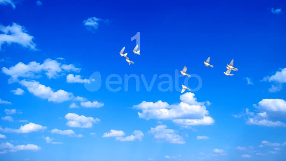 Flying Doves 3 Videohive 206682 Motion Graphics Image 1