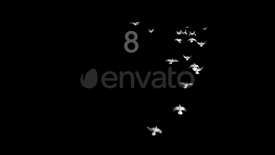 Flying Doves 3 Videohive 206682 Motion Graphics Image 11