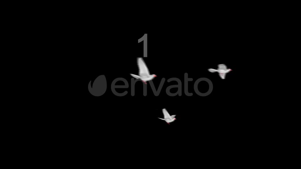 Flying Doves 3 Videohive 206682 Motion Graphics Image 2