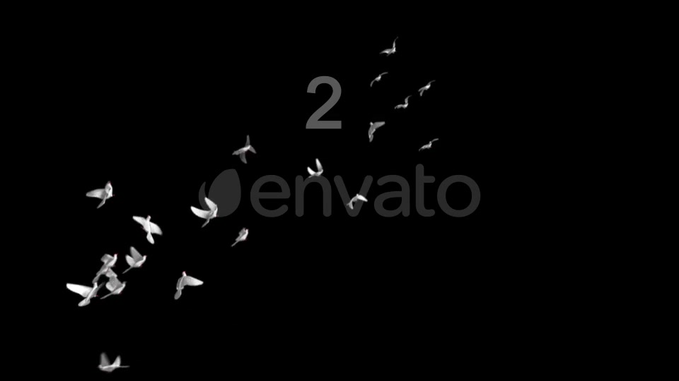 Flying Doves 3 Videohive 206682 Motion Graphics Image 3