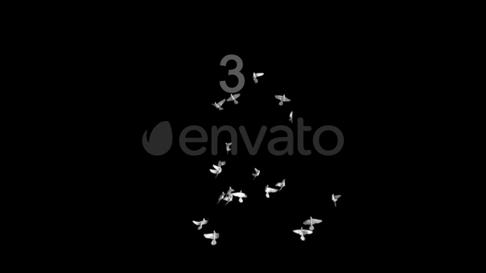 Flying Doves 3 Videohive 206682 Motion Graphics Image 5