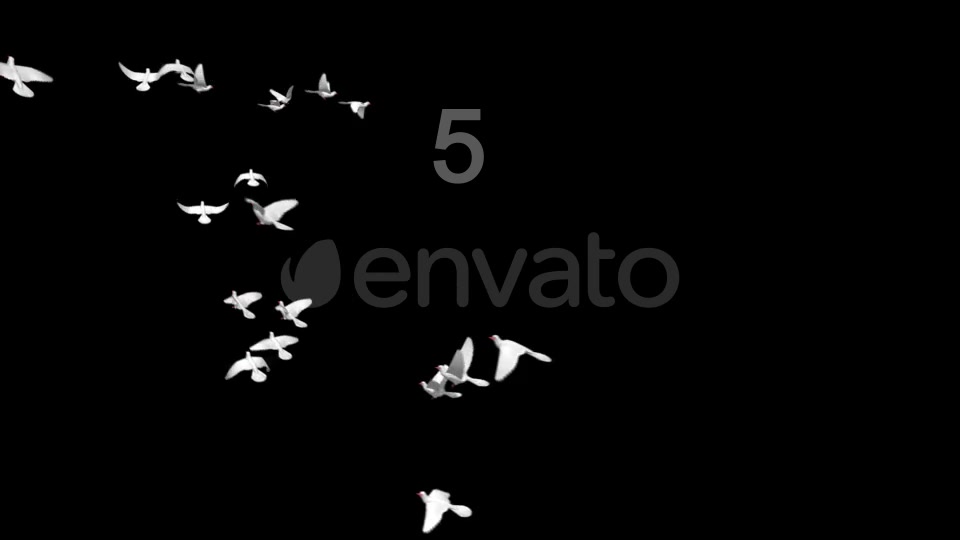 Flying Doves 3 Videohive 206682 Motion Graphics Image 7