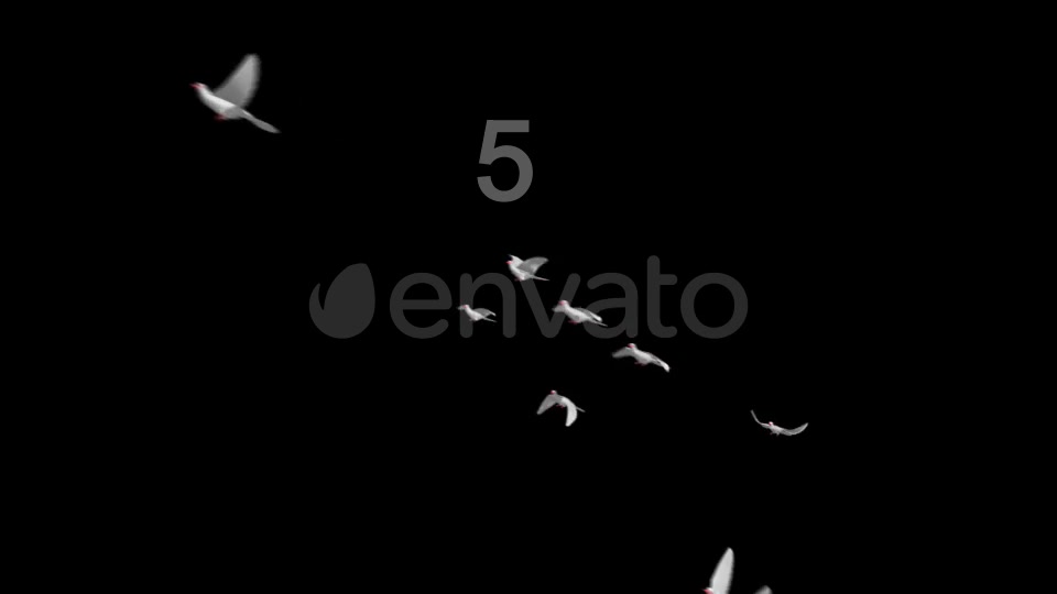 Flying Doves 3 Videohive 206682 Motion Graphics Image 8