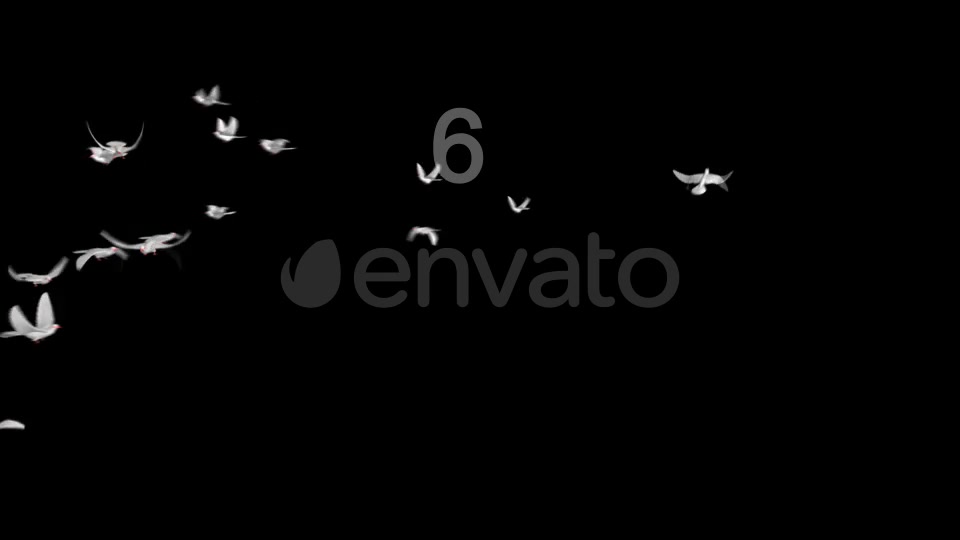 Flying Doves 3 Videohive 206682 Motion Graphics Image 9