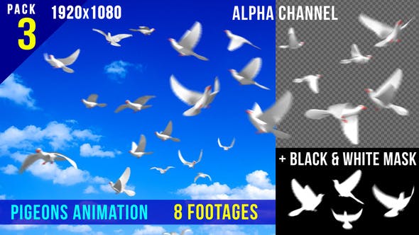 Flying Doves 3 - 206682 Download Videohive