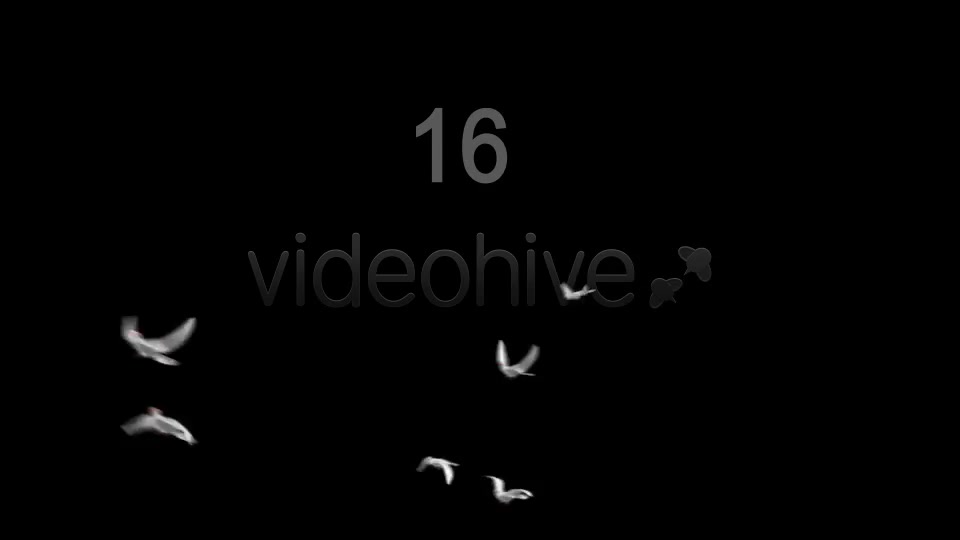 Flying Doves 4 Videohive 2950243 Motion Graphics Image 10