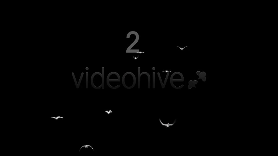 Flying Doves 4 Videohive 2950243 Motion Graphics Image 3