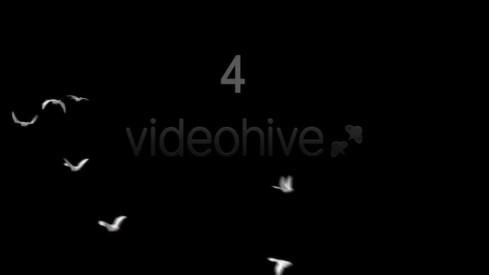 Flying Doves 4 Videohive 2950243 Motion Graphics Image 4
