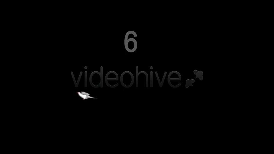 Flying Doves 4 Videohive 2950243 Motion Graphics Image 5