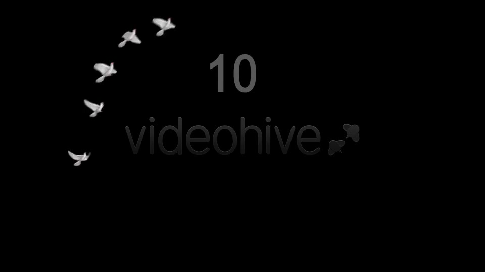 Flying Doves 4 Videohive 2950243 Motion Graphics Image 7