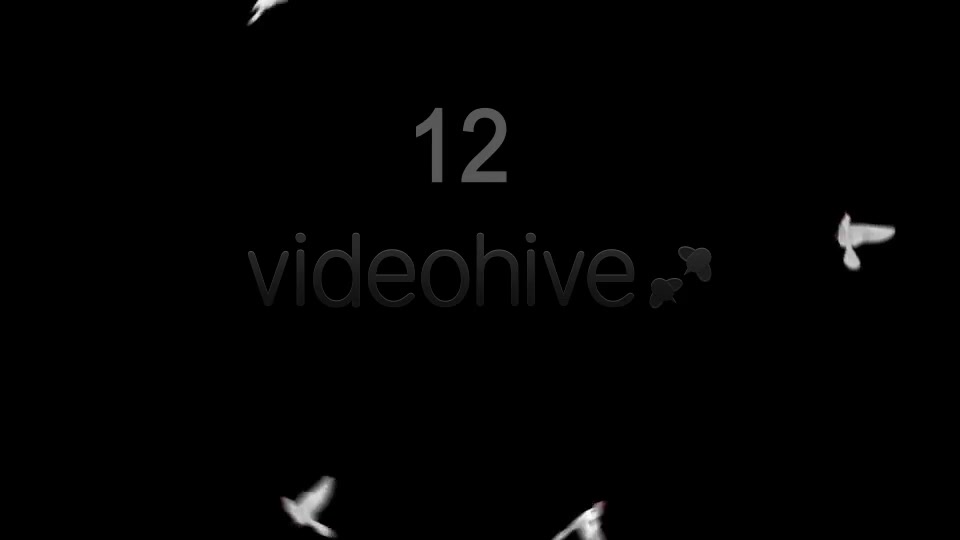 Flying Doves 4 Videohive 2950243 Motion Graphics Image 8