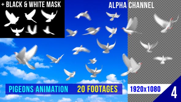 Flying Doves 4 - Videohive Download 2950243