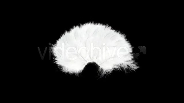 Flying Feathers Intro HD Videohive 20808 Motion Graphics Image 7