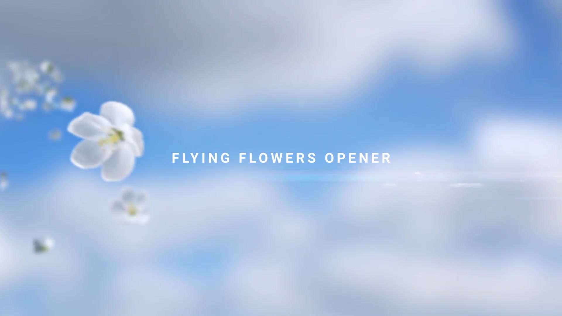 Flying Flowers Opener Videohive 32139596 After Effects Image 4