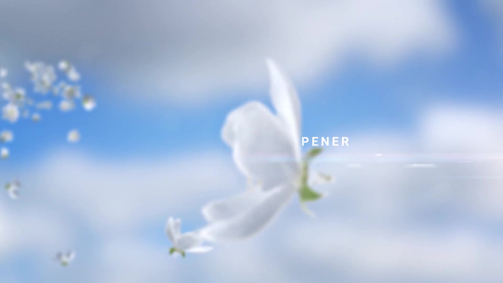 Flying Flowers Opener Videohive 32139596 After Effects Image 5