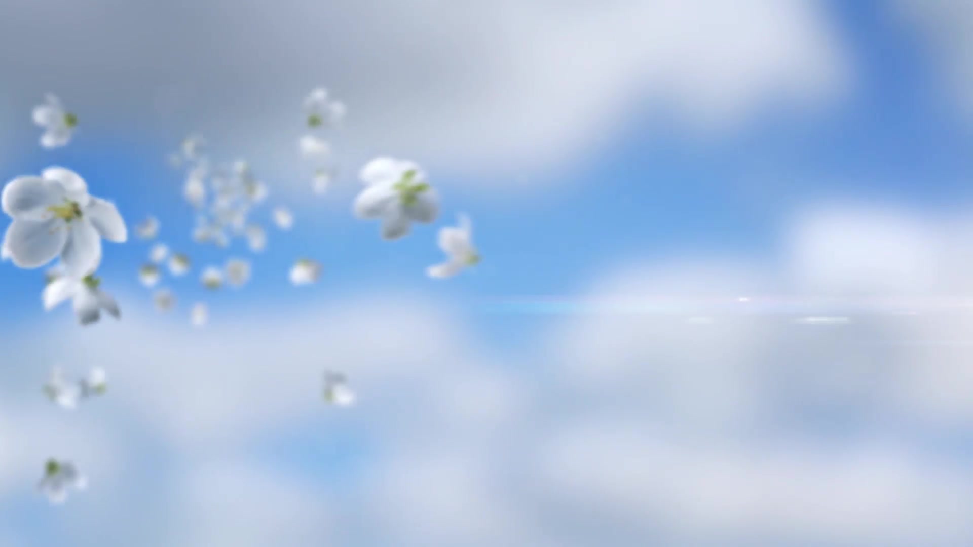 Flying Flowers Opener Videohive 32139596 After Effects Image 6