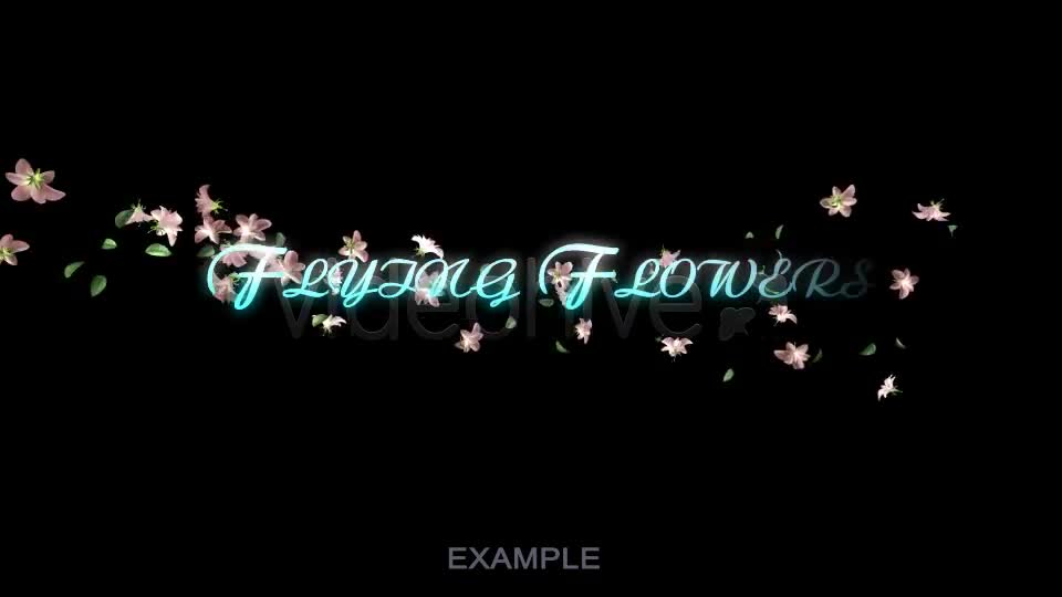 Flying Flowers(60 FPS) Videohive 166062 Motion Graphics Image 1