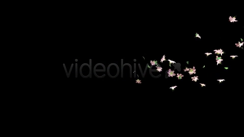 Flying Flowers(60 FPS) Videohive 166062 Motion Graphics Image 4