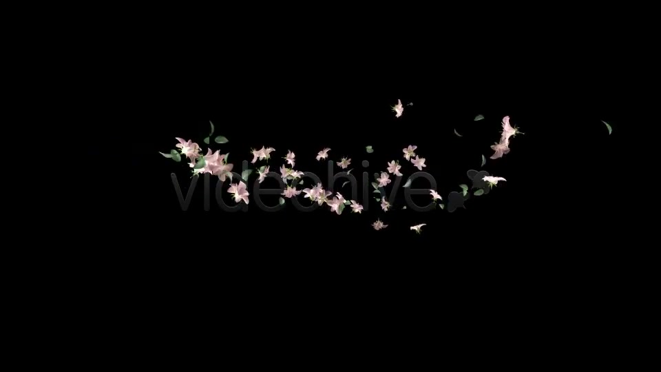Flying Flowers(60 FPS) Videohive 166062 Motion Graphics Image 5