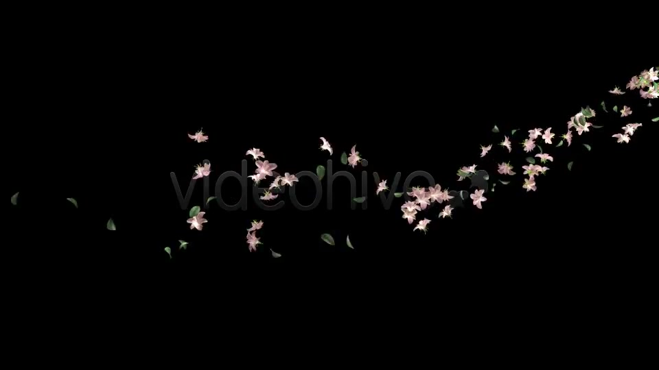 Flying Flowers(60 FPS) Videohive 166062 Motion Graphics Image 7