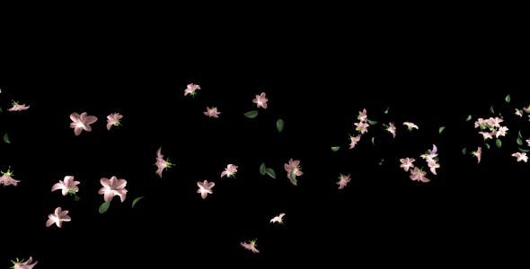 Flying Flowers(60 FPS) - Videohive Download 166062