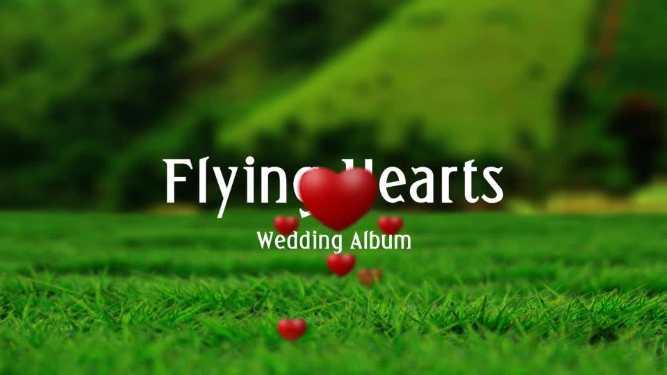 Flying Hearts Wedding Album Videohive 6623915 After Effects Image 1