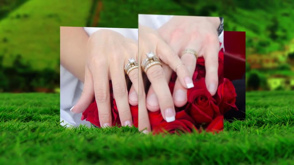 Flying Hearts Wedding Album Videohive 6623915 After Effects Image 2