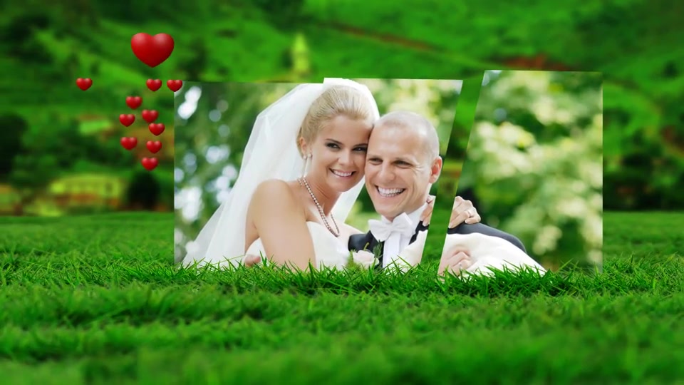 Flying Hearts Wedding Album Videohive 6623915 After Effects Image 4