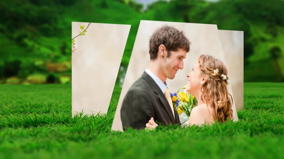 Flying Hearts Wedding Album Videohive 6623915 After Effects Image 5