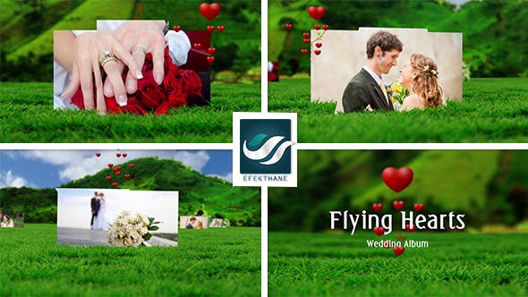Flying Hearts Wedding Album - 6623915 Videohive Download