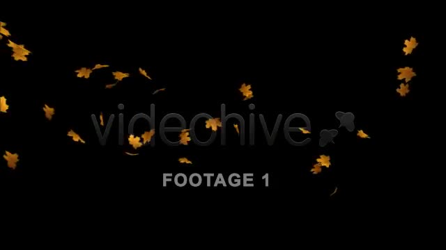 Flying Leaves 2 (60 FPS) Videohive 557569 Motion Graphics Image 1