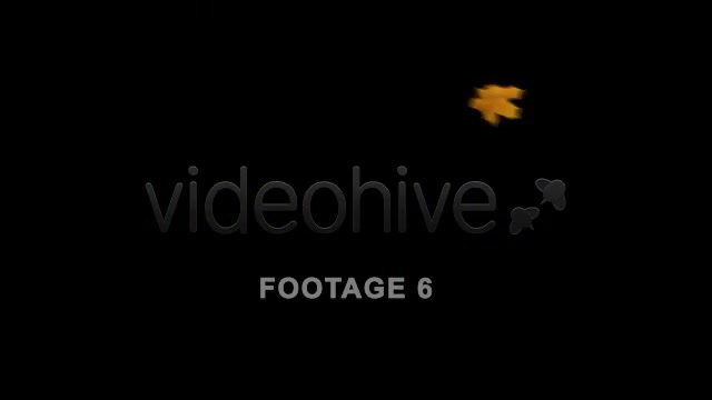 Flying Leaves 2 (60 FPS) Videohive 557569 Motion Graphics Image 10