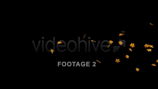 Flying Leaves 2 (60 FPS) Videohive 557569 Motion Graphics Image 4