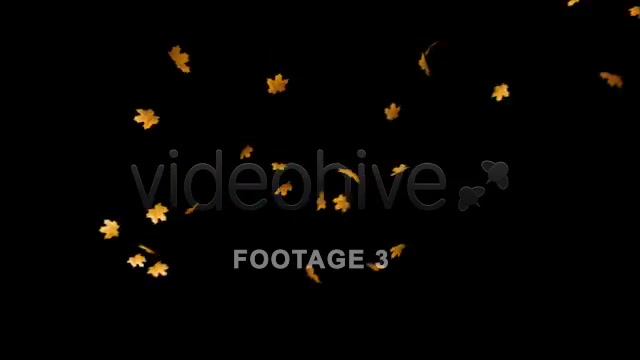 Flying Leaves 2 (60 FPS) Videohive 557569 Motion Graphics Image 5