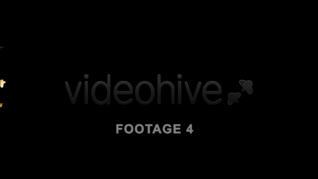 Flying Leaves 2 (60 FPS) Videohive 557569 Motion Graphics Image 6