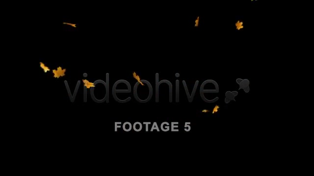 Flying Leaves 2 (60 FPS) Videohive 557569 Motion Graphics Image 8