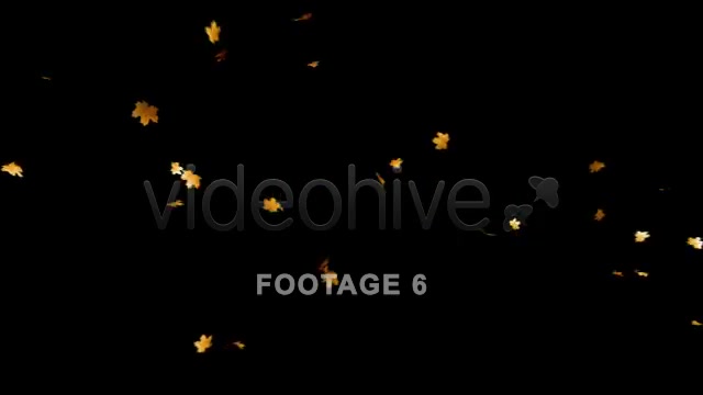 Flying Leaves 2 (60 FPS) Videohive 557569 Motion Graphics Image 9