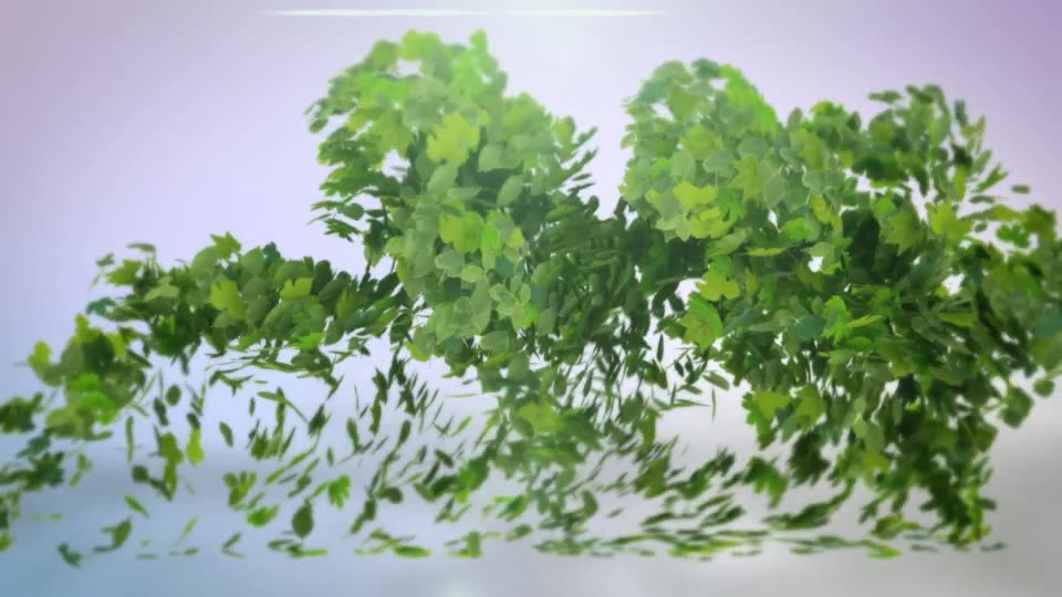 Flying Leaves Logo Reveal Videohive 19605615 After Effects Image 2