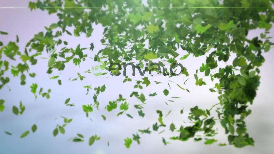 Flying Leaves Logo Reveal Videohive 19605615 After Effects Image 4