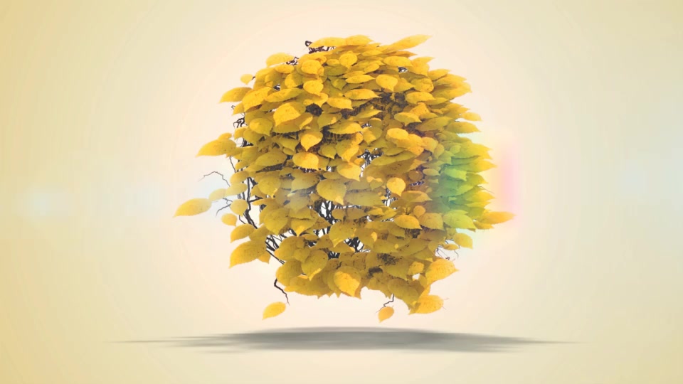 Flying Leaves | Premiere Version Videohive 34755671 Premiere Pro Image 5