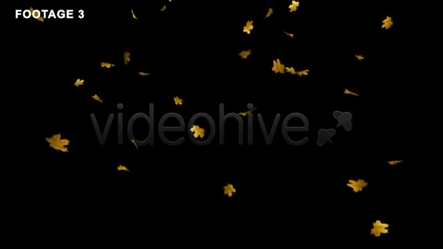 Flying Leaves(LOOP 60 FPS) - Download Videohive 544103